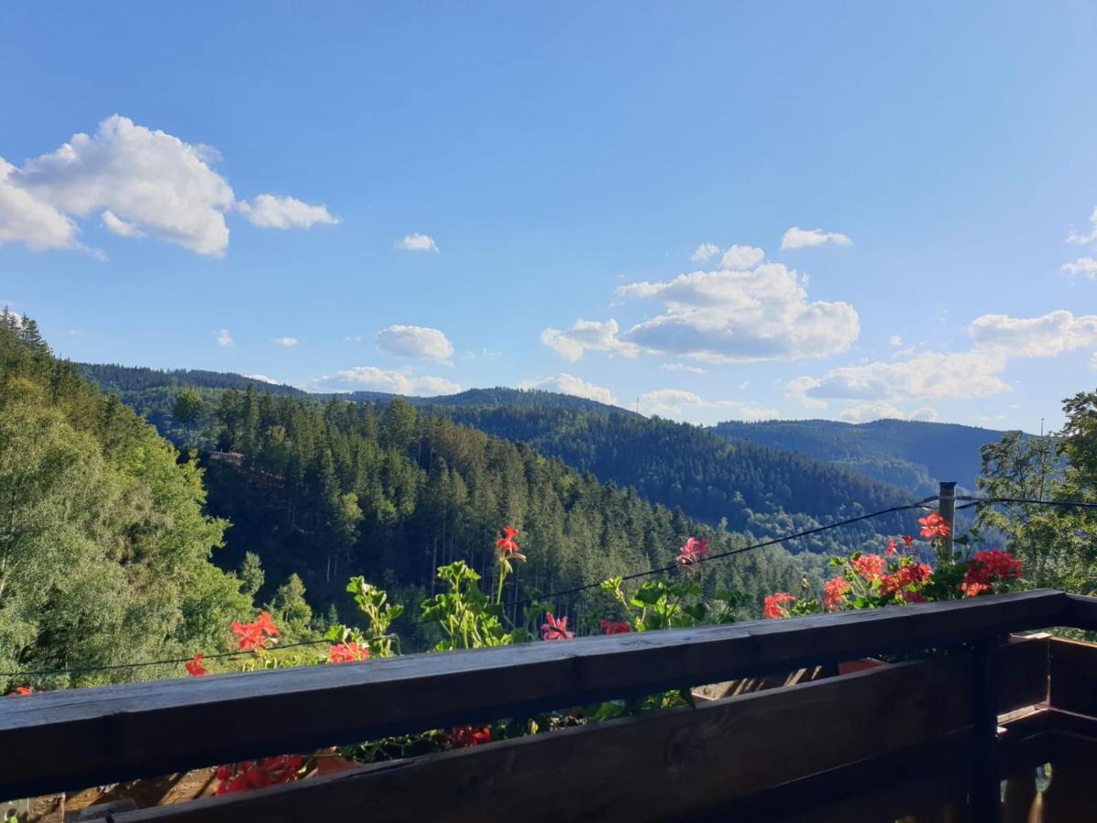 Ferienwohnung Landhaus Valentin Triberg im Schwarzwald Exterior foto