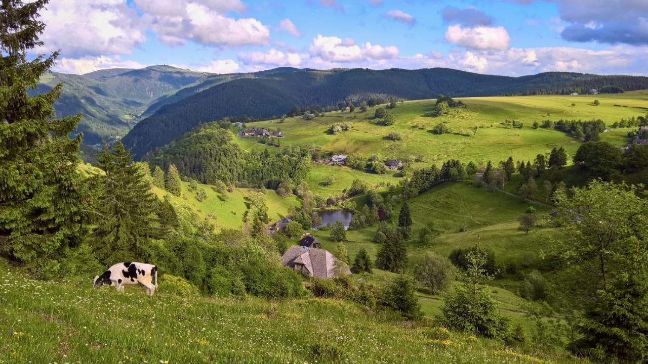 Ferienwohnung Landhaus Valentin Triberg im Schwarzwald Exterior foto