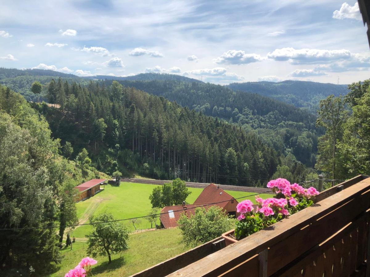 Ferienwohnung Landhaus Valentin Triberg im Schwarzwald Exterior foto