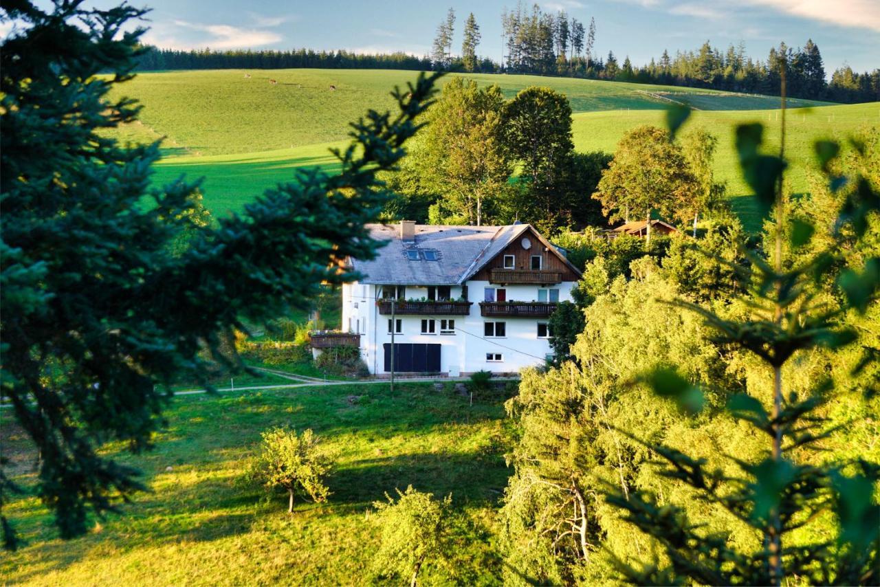 Ferienwohnung Landhaus Valentin Triberg im Schwarzwald Exterior foto