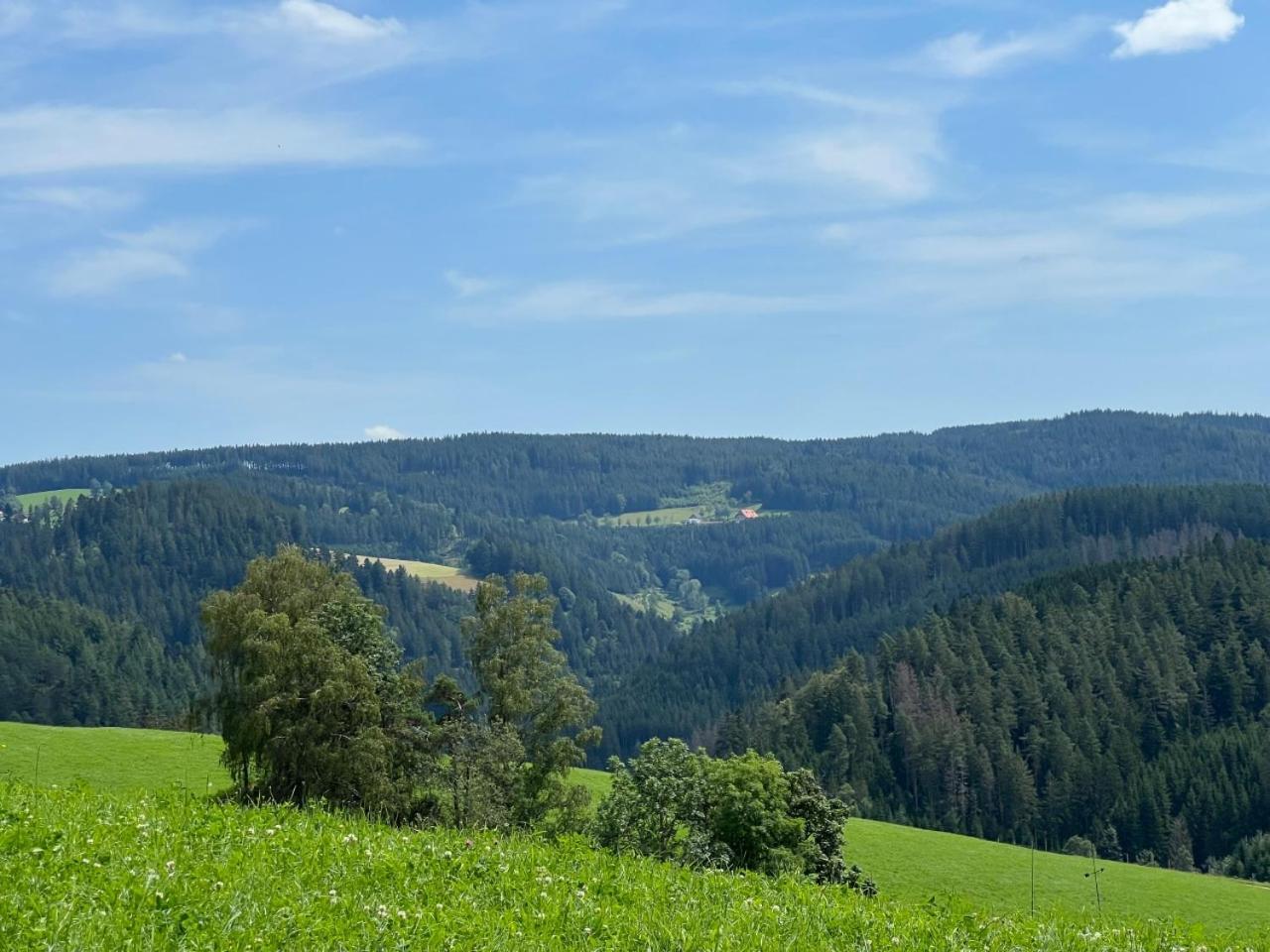 Ferienwohnung Landhaus Valentin Triberg im Schwarzwald Exterior foto