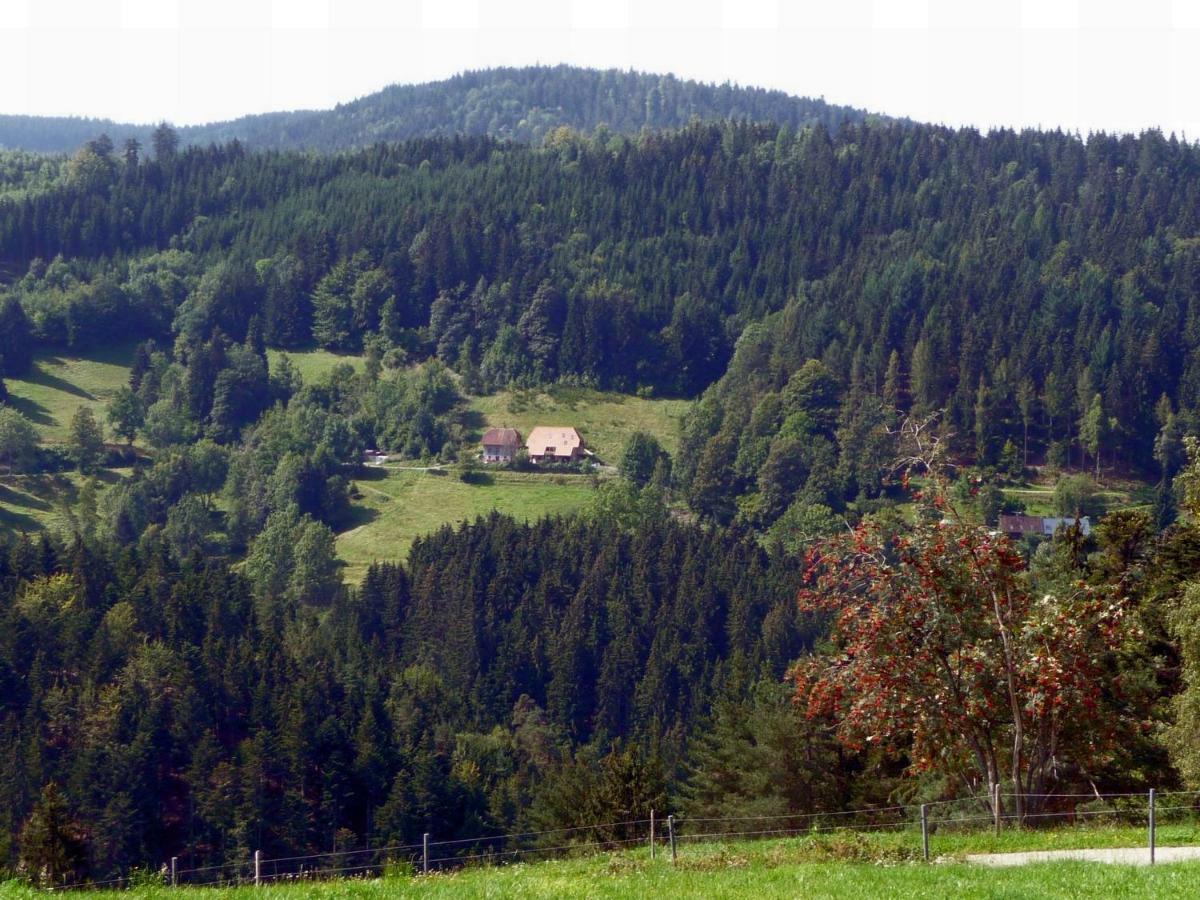 Ferienwohnung Landhaus Valentin Triberg im Schwarzwald Exterior foto