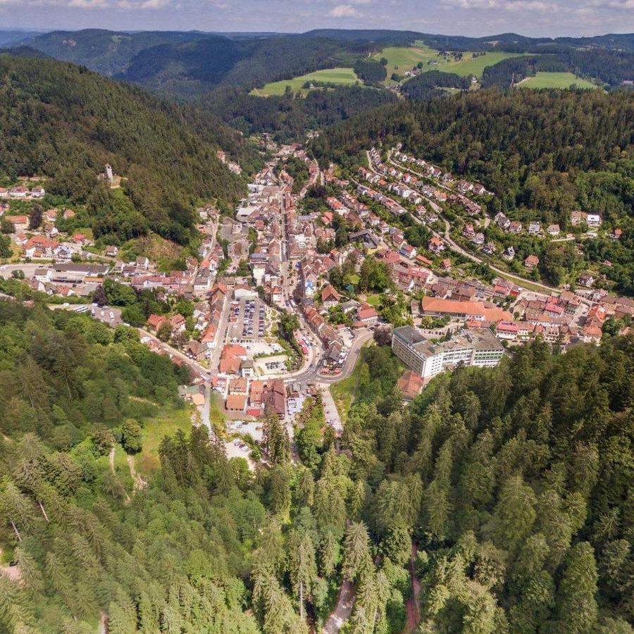 Ferienwohnung Landhaus Valentin Triberg im Schwarzwald Exterior foto